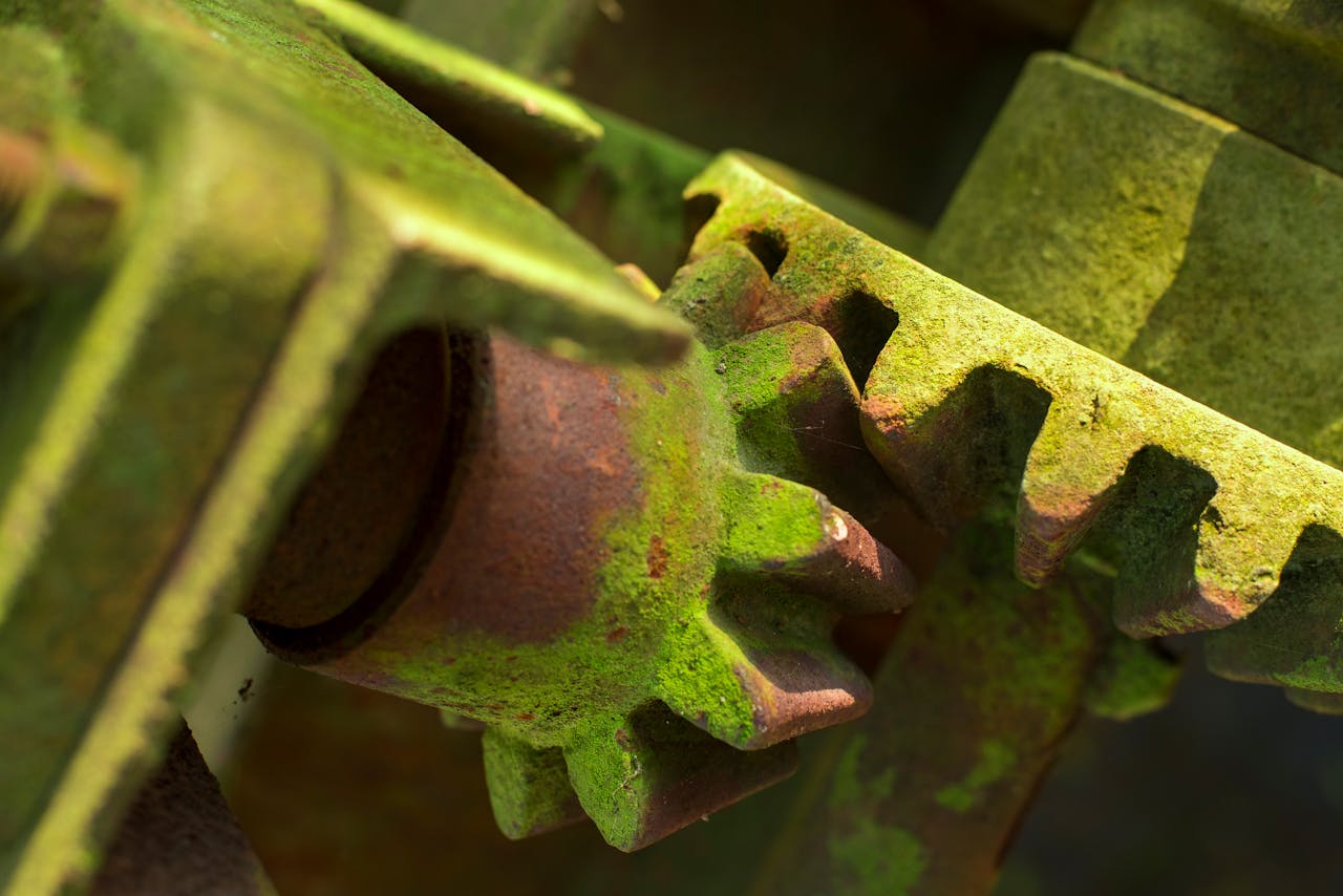 Close-up of a rusted industrial gear with green moss, showcasing decay and weathering.
